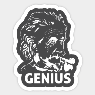 Einstein Genius Sticker